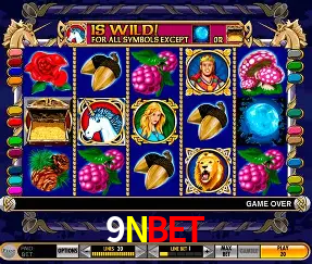 VIP Casino 9NBET